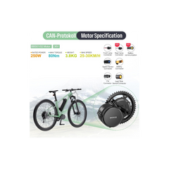 Bafang BBS01B 36V 250W-4