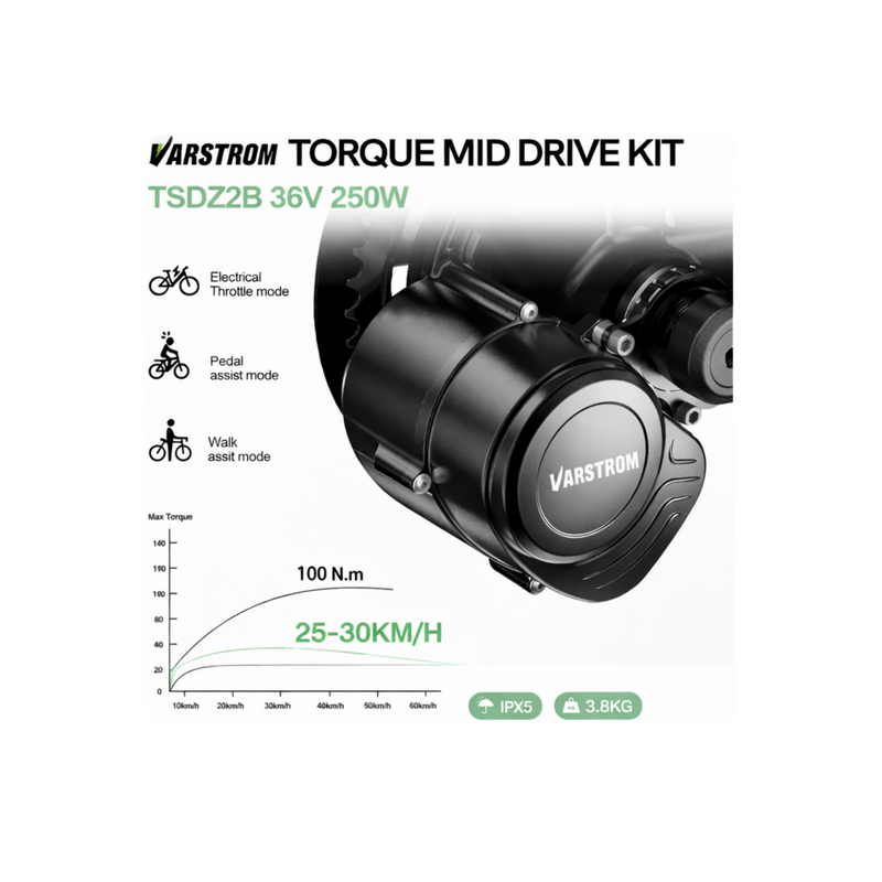 Varstrom TSDZ2B 36V250W-3