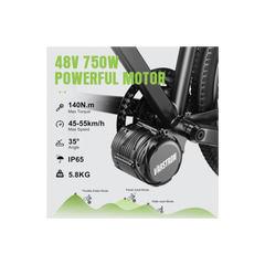 Varstrom TSDZ8 48V750W-4