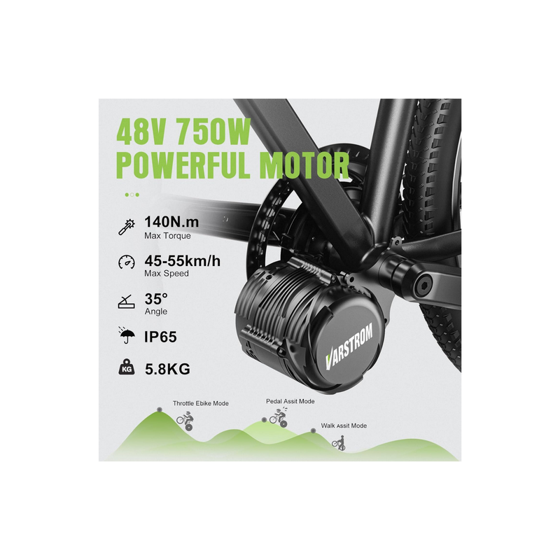 Varstrom TSDZ8 48V750W-4